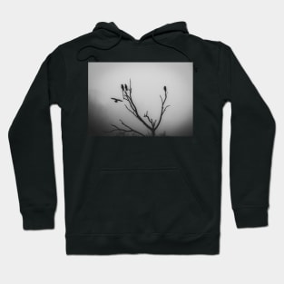 A perch in the mist Hoodie